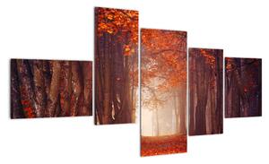 Jesenné les - obraz (Obraz 150x85cm)