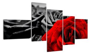 Obraz červené ruže (Obraz 150x85cm)