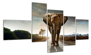Obraz kráčajúceho slona (Obraz 150x85cm)