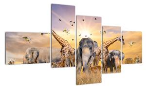 Obraz - safari (Obraz 150x85cm)