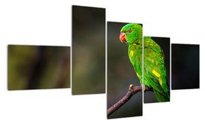 Obraz zeleného papagája (Obraz 150x85cm)
