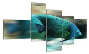 Obraz na stenu - ryby (Obraz 150x85cm)
