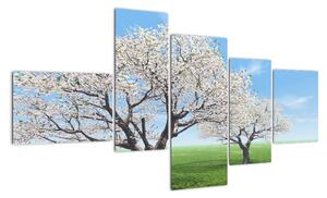 Obraz kvitnúceho stromu na jarné lúke (Obraz 150x85cm)
