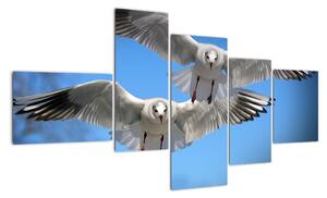 Obraz do bytu - vtáky (Obraz 150x85cm)