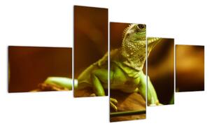 Obraz na stenu - zvieratá (Obraz 150x85cm)