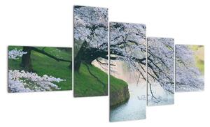 Obraz kvitnúcich stromov (Obraz 150x85cm)