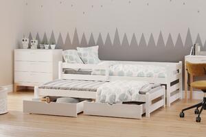 Detská posteľ Alis DPV 001 s výsuvným lôžkom - 80x180 cm - biela