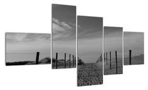 Obraz - cesta v piesku (Obraz 150x85cm)