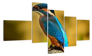 Obraz - farebný vták (Obraz 150x85cm)