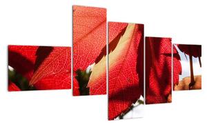 Obraz červených listov (Obraz 150x85cm)