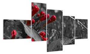 Červené kvety - moderné obrazy (Obraz 150x85cm)