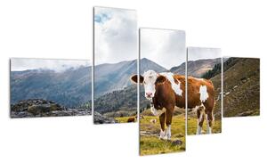 Obraz kravy na lúke (Obraz 150x85cm)