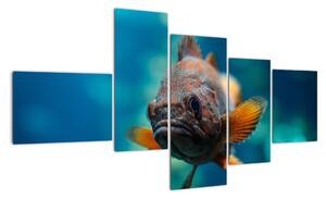Obraz - ryba (Obraz 150x85cm)