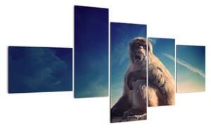 Obraz opice - obrazy zvierat (Obraz 150x85cm)