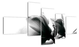 Obraz čiernobielych kvetov (Obraz 150x85cm)