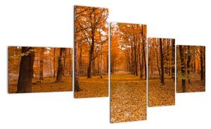Obraz lesné cesty (Obraz 150x85cm)
