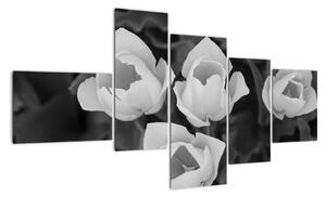 Čiernobiele kvety (Obraz 150x85cm)