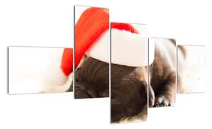 Obraz psa s čiapkou (Obraz 150x85cm)