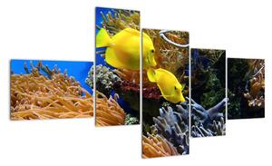 Podmorský svet - obraz (Obraz 150x85cm)