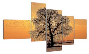 Obraz sa stromom (Obraz 150x85cm)