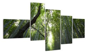 Obraz lesov (Obraz 150x85cm)