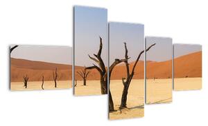 Obraz púšte (Obraz 150x85cm)