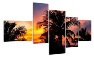 Obraz palmy na stenu (Obraz 150x85cm)