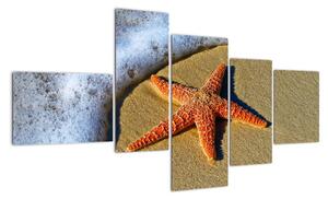 Obraz s morskou hviezdou (Obraz 150x85cm)