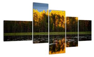 Obraz - jesenná krajina (Obraz 150x85cm)