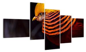 Obraz vtáka (Obraz 150x85cm)