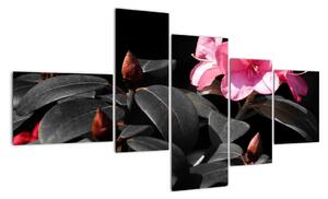 Obraz kvety (Obraz 150x85cm)
