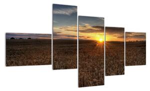 Západ slnka na poli - obraz na stenu (Obraz 150x85cm)