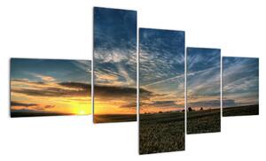 Západ slnka na poli - moderný obraz (Obraz 150x85cm)
