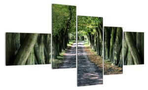Údolie stromov, obrazy (Obraz 150x85cm)