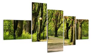 Cesta v parku - obraz (Obraz 150x85cm)