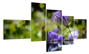 Modrá kvetina - obraz (Obraz 150x85cm)