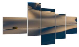 Púšť - obraz (Obraz 150x85cm)