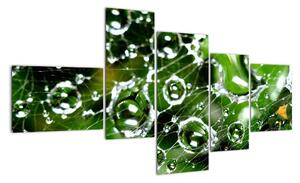 Kvapky vody - obrazy (Obraz 150x85cm)