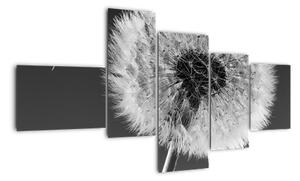 Odkvitnutá púpava - obraz kvetín (Obraz 150x85cm)