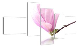 Kvet - obraz (Obraz 150x85cm)