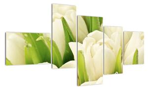 Detail tulipánov - obraz (Obraz 150x85cm)