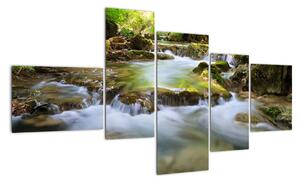 Rieka v lese - obraz (Obraz 150x85cm)