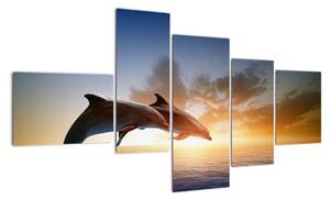 Delfíny - obraz (Obraz 150x85cm)