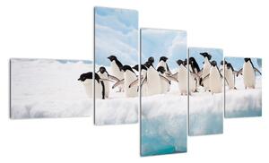 Tučniaci - obraz (Obraz 150x85cm)