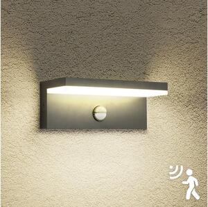 Brilagi-LED Vonkajšie nástenné svietidlo so senzorom TESSI LED/10W/230V antracit IP54