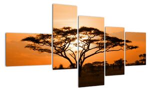 Obraz stromu (Obraz 150x85cm)