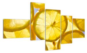 Plátky citrónov - obraz (Obraz 150x85cm)