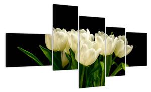 Biele tulipány - obraz (Obraz 150x85cm)