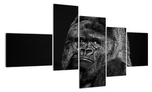 Obraz opice (Obraz 150x85cm)