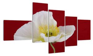 Obraz kvetu (Obraz 150x85cm)
